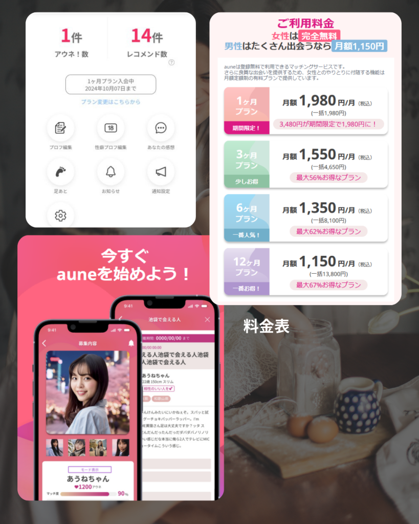 aune機能の充実性